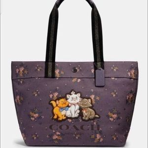 Coach Disney x aristocats